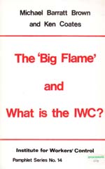 <span style='font-size: 14px;'>The 'Big Flame' & What is IWC </span>